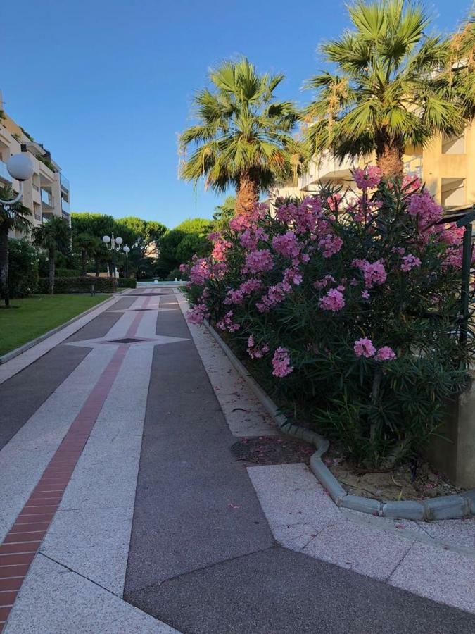 Front Beach Luxury Near Nice Airport Cagnes-sur-Mer Exterior foto
